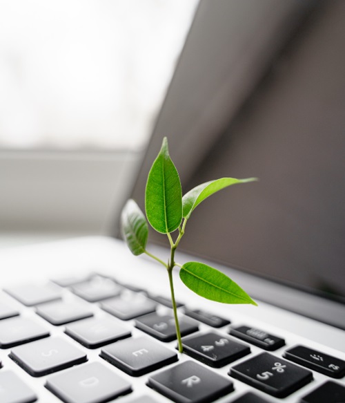 Une activité professionnelle en cohérence avec mes engagements